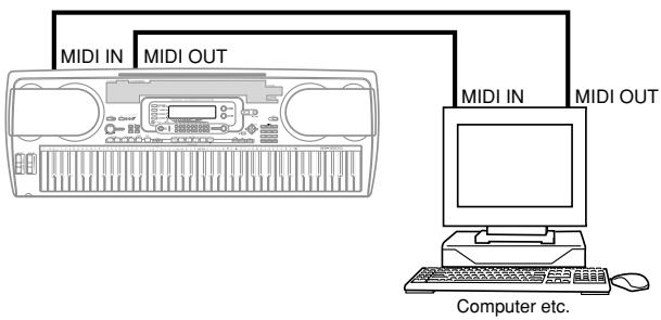 CASIO WK-3000 - MIDI Connections - 1