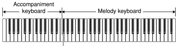 CASIO WK-3000 - CASIO CHORD Accompaniment Keyboard and Melody Keyboard - 1