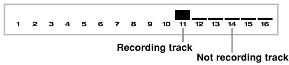 CASIO WK-3000 - Level Meter Contents During Record/ Edit Standby - 1