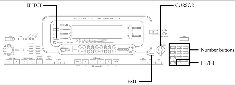 CASIO WK-3000 - Applying Effects to Tones - 1