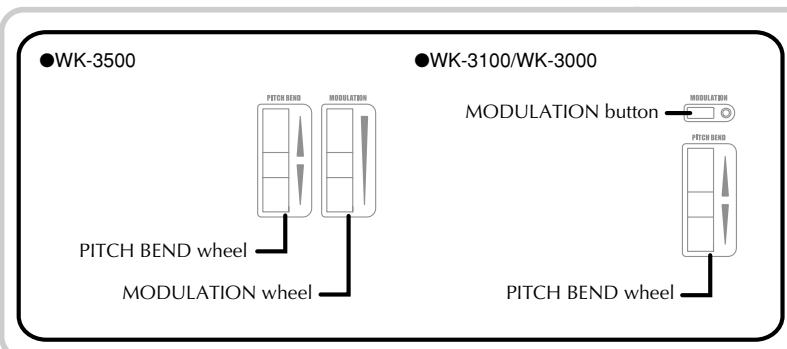 CASIO WK-3000 - Basic Operations - 1
