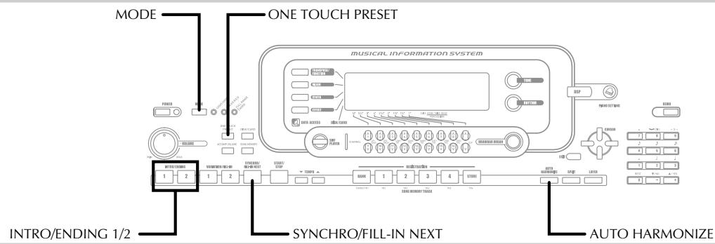 CASIO WK-3000 - Auto Accompaniment - 1