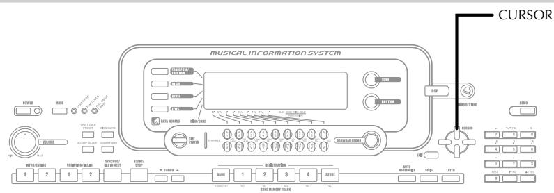 CASIO WK-3000 - To name a user tone and store it in memory - 2