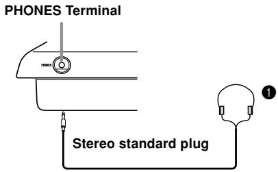 PHONES Terminal Stereo standard plug