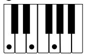 CASIO WK-3500 - NOTE. - 1