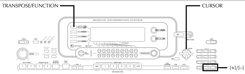 TRANSPOSE/FUNCTION MUSICAL INFORMATION SYSTEM CURSOR 1 2 1 2 [+] / [-]