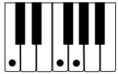 CASIO WK-3500 - NOTE. - 5