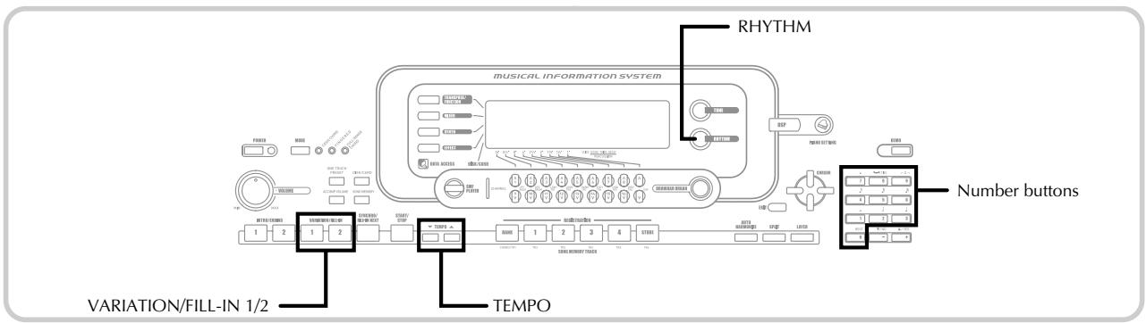 RHYTHM MUSICAL INFORMATION SYSTEM Number buttons VARIATION/FILL-IN 1/2 TEMPO