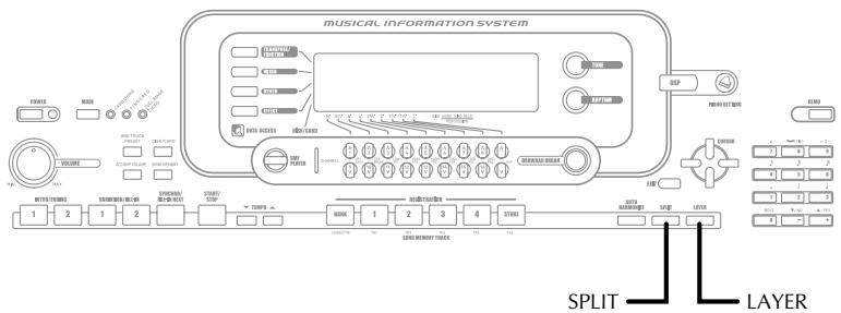 MUSICAL INFORMATION SYSTEM SPLIT LAYER