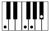 CASIO WK-3500 - NOTE. - 11