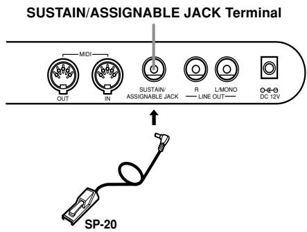 SUSTAIN/ASSIGNABLE JACK Terminal MIDI OUT IN SUSTAIN ASSIGNABLE JACK R LINE OUT L/MONO DC 12V SP-20