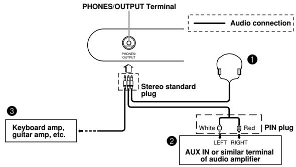 CASIO WK-3500 - Phones/Output Terminal - 1