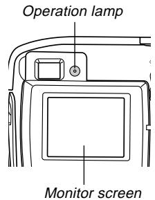 CASIO GV-10 - Flash Status Indicators - 1