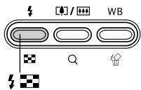 CASIO GV-10 - Using the Flash - 1