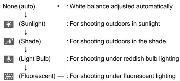 CASIO GV-10 - Selecting White Balance - 2