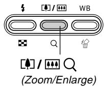 CASIO GV-10 - Using Zoom - 1