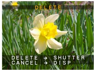 CASIO GV-10 - Deleting the Displayed Image - 1