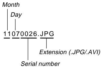 CASIO GV-10 - Files - 1