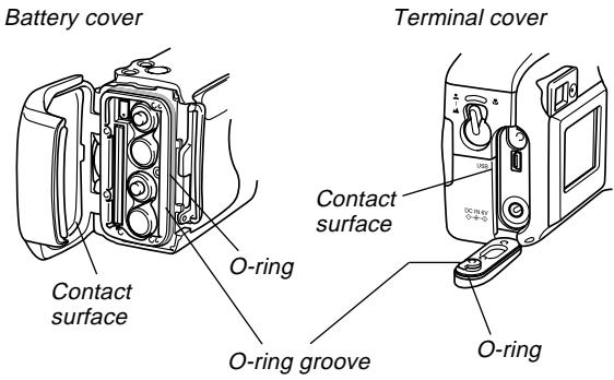 CASIO GV-20 - Inspecting the Cover O-rings - 1
