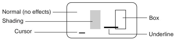 CASIO KL-60 - To specify a text effect - 1