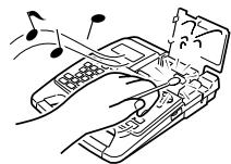 CASIO KL-7000 - Important Precautions - 9