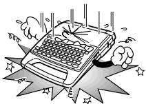 CASIO KL-7000 - Important Precautions - 6