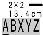 CASIO KL-7000 - To assign text effects - 3