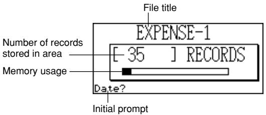 CASIO SF-5980 - To enter the Expense Manager Mode - 1