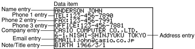 CASIO SF-5980 - About "data items" and "entries" - 1