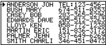 CASIO SF-5980 - Index Display Format (Telephone Directory) - 1