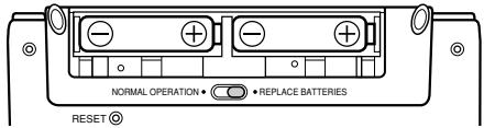 CASIO SF-7100SY - Before using the Digital Diary for the first time... - 3