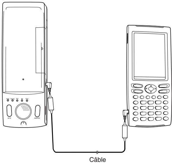 CASIO CLASSPAD 300 PLUS - Opérations sur le classpad - 1
