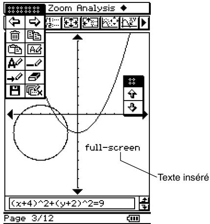 CASIO CLASSPAD 300 PLUS - - Insérer du texte sur une page - 1