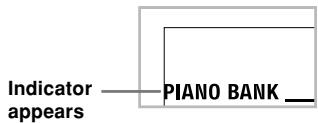 Indicator appears PIANO BANK_