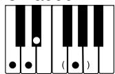 CASIO CTK-720 - NOTE - 13