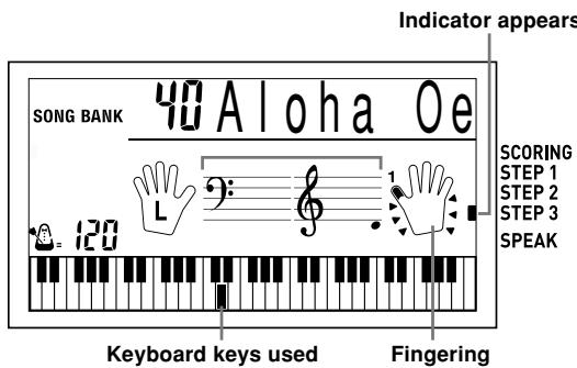 Indicator appears SONG BANK 40 A l o h a O e SCORING STEP 1 STEP 2 STEP 3 SPEAK Keyboard keys used Fingering