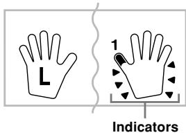 L 1 Indicators