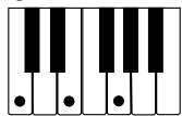 CASIO CTK-720 - NOTE - 1
