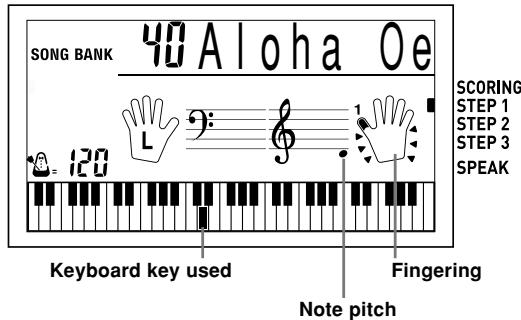 SONG BANK 40 Aloha Oe 120 Keyboard key used Fingering Note pitch SCORING STEP 1 STEP 2 STEP 3 SPEAK