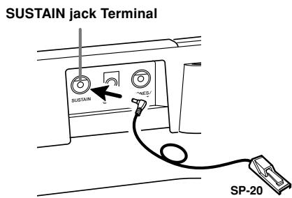 SUSTAIN jack Terminal SUSTAIN →NE5/ SP-20