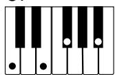 CASIO CTK-720 - NOTE - 10