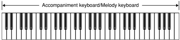 CASIO CTK-810 - FULL RANGE CHORD Accompaniment Keyboard and Melody Keyboard - 2
