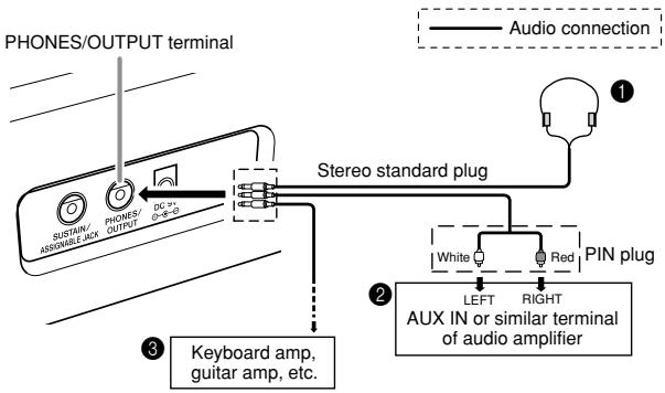 CASIO CTK-810 - [Rear Panel] - 1