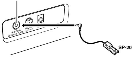 CASIO CTK-810 - Sustain/Assignable jack Terminal - 1