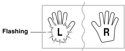 CASIO CTK-810 - IMPORTANT! - 2