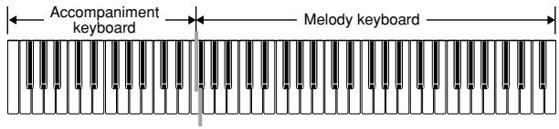 CASIO CTK-810 - FINGERED Accompaniment Keyboard and Melody Keyboard - 1