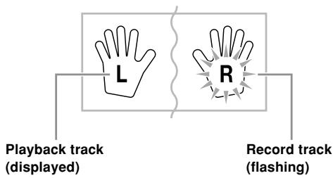 CASIO CTK-810 - Part/Track Indicators in Recording Standby - 1