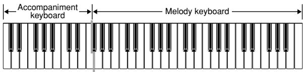 CASIO CTK-810 - CASIO CHORD Accompaniment Keyboard and Melody Keyboard - 2