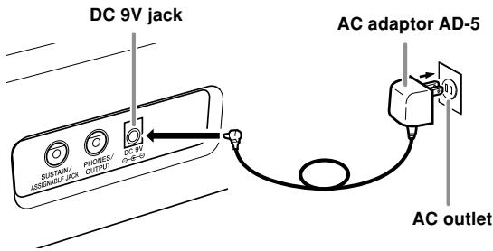 CASIO CTK-810 - [Rear Panel] - 1