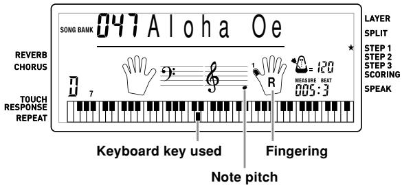 CASIO CTK-810 - To play the keyboard - 5